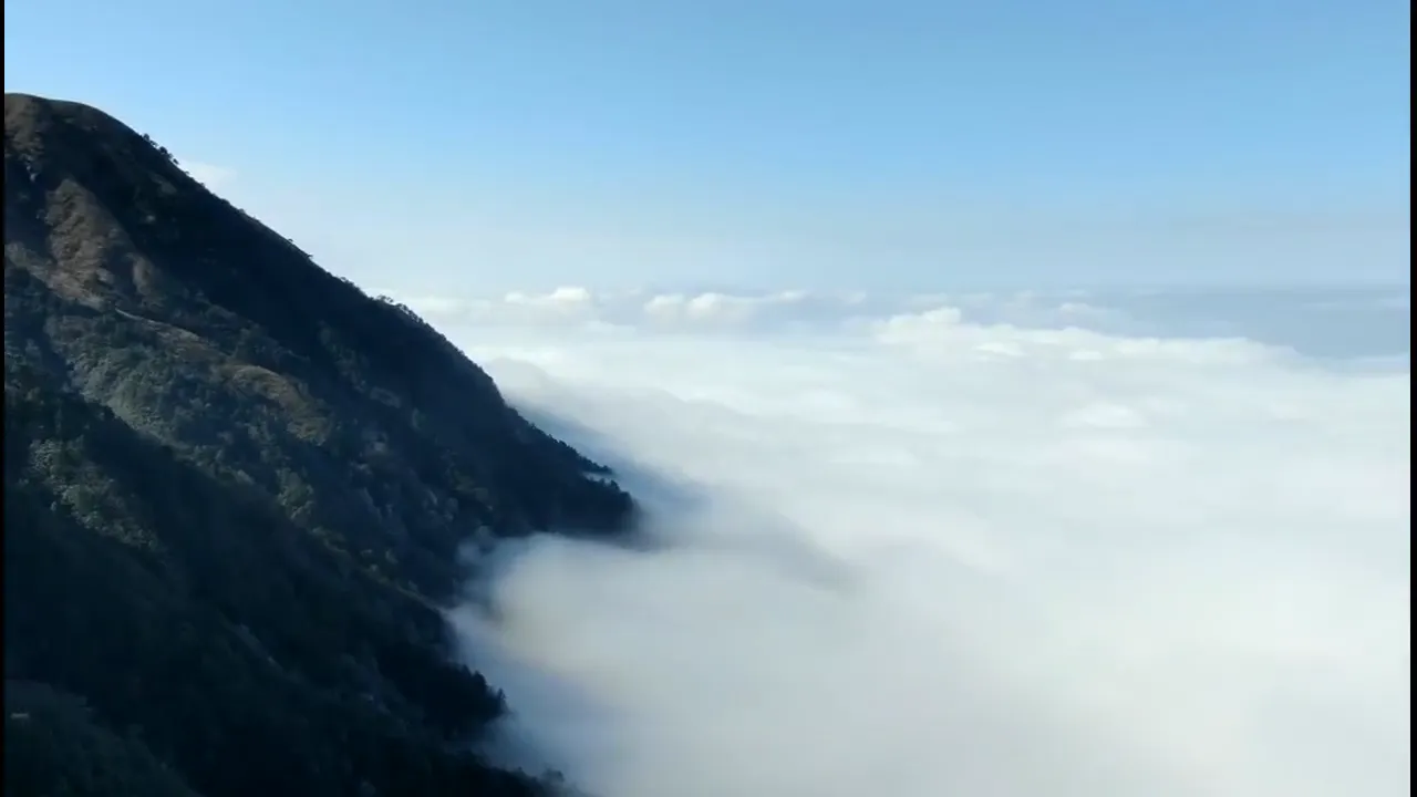 Video 0:05